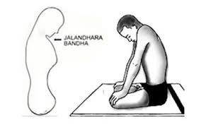 25 Historical Yoga Mudras And Its Endless Benefits For All Ages Mudras Easy Meditation Deep Breathing Exercises