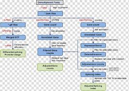 Image result for bioinformatics heatmap