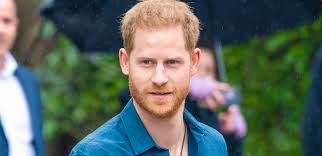 Prins Harrys nya lyxköp i England chockar britterna