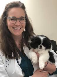 We are pleased to announce that Dr. Osorio has sold Veterinary Associates  of North Branford to Dr. Amy Almo. Dr. Almo is thrilled to work alongside  Dr. Osorio to bring the same