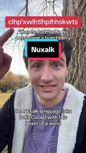 Longest English Word 190000 Words