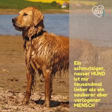 Pin Von Barf Petman Auf Spruche Mit Hunde Und Katzen Hunde Hund Und Katze Katzen