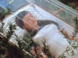 Image result for Snow White 1961 Polara