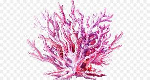 • millions of unique designs by independent artists. Coral Reef Background