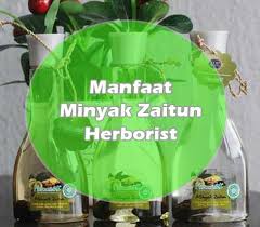 Minyak zaitun mengandung nutrisi seperti vitamin e. Manfaat Minyak Zaitun Herborist Untuk Wajah Berjerawat Serta Kecantikan June 2021
