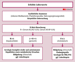 Hepatotoxizitat Was Kann Erhohte Leberwerte Auslosen Pz Pharmazeutische Zeitung