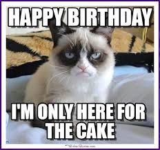 Happy Birthday Memes With Funny Cats Dogs And Animals Cat Birthday Memes Funny Grumpy Cat Memes Grumpy Cat Birthday