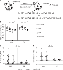 I need help interpreting lab. Gene Editing And Elimination Of Latent Herpes Simplex Virus In Vivo Nature Communications