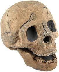Check spelling or type a new query. Amazon Com Myard Fireproof Imitated Human Fire Pit Skull Gas Log For Ng Lp Wood Fireplace Firepit Campfire Home Decor Bbq Qty 1 Brown Patio Lawn Garden