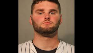 Cubs fan charged with felony trespass, accused of running onto Wrigley  Field