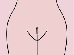 Landing Strip Landing Strip Shave Designs Bikini Wax Styles