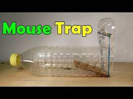 How To Make A Mouse Trap Homemade Trap Homemade Mouse Traps Mouse Traps Mouse Trap Diy