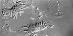 Check spelling or type a new query. Animal Cell Division Video Dnatube Com Scientific Video And Animation Site