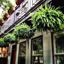 Using Hanging Flower Basket Ideas Is A Very Good Option If You Want To Make Your Home More Appeali Hanging Plants Outdoor Hanging Plants Hanging Flower Baskets