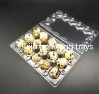 New 30-Egg Transparent Plastic Quail Egg Tray & Collector Boxes
