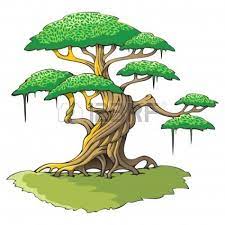 Jungle Tree Clipart Viewing Gallery Jungle Tree Cartoon Trees Tree Illustration