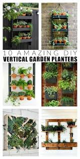 Pin On Plants Gardening