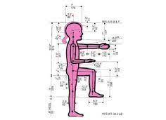 Anthropometry Of Children Kindergarten Design Children 4 Year Olds