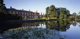 The National Trust's New Dunham Rose to launch at RHS Chelsea Flower Show  2013