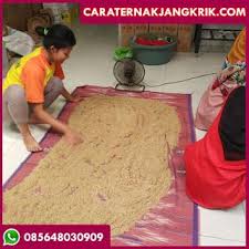 Ternak Jangkrik Kota Pekanbaru Riau Di 2020 Jangkrik Peternakan Gagal