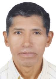 Ingresos de Otorongos Elecciones 2022