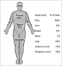 The curreri formula is the calculation of energy requirements in the specific setting of a burn injury (usually severe injury, with highly catabolic state, high energy consumption, and hugh requirements to run the anabolic process of tissu reconstruction). Special Considerations In Paediatric Burn Patients Abstract Europe Pmc
