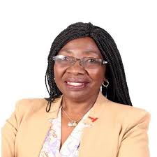 Science Summit at United Nations General Assembly (UNGA78): [VIRTUAL]  Citizen Science for Digital He...