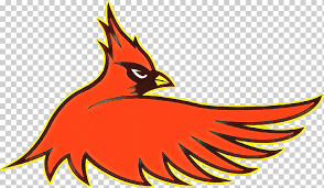 727 x 619 · png. Paruh Burung Png Klipartz