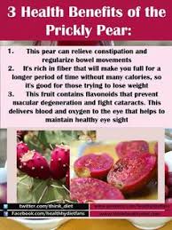 Have you ever eaten cactus? 82 Growing Prickly Pear Cactus Ideas Prickly Pear Cactus Prickly Pear Cactus