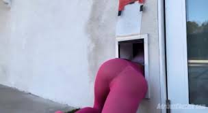 Adriana Chechik - My Mom Got Stuck In The Dog Door - EPORNER
