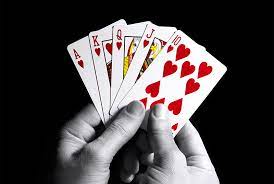 Improve Your Chances of Winning by Learning the Basics of Poker -  Monumentavenuegdgd.com
