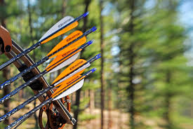 Selecting the correct arrow length for your bow. How To Choose The Best Arrow For Bowhunting Success Bowhunting 360