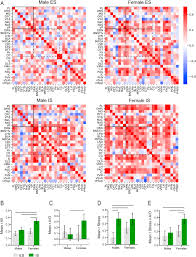 We did not find results for: Functional Networks Activated By Controllable And Uncontrollable Stress In Male And Female Rats Sciencedirect