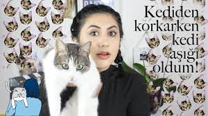 kedi korkum nasil yendim neden vardi youtube