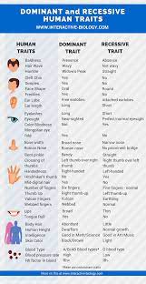 Mendelian Genetics Dominant And Recessive Traits Genetics Lesson Science Biology Biology Classroom