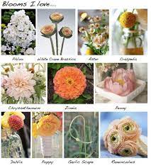 Wedding Flower List List Of Flowers Fall Wedding Flowers Wedding Flowers