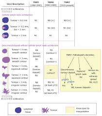 Assessment Of Lymph Node Involvement In Colorectal Cancer