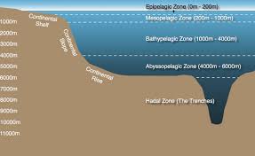Altitude definition, the height of anything above a given planetary reference plane, especially above sea level on earth. Chapter 2 Understanding The Deep Sea Valuing The Deep Marine Genetic Resources In Areas Beyond National Jurisdiction