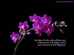 Screensaver screen saver desktop screen images pictures art nature enchancement. Orchid Flower Screensavers Quotes Quotesgram