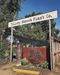 Check spelling or type a new query. Plant Swap Tillery Street Plant Co Austin 31 July 2021