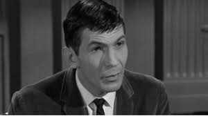 The Case of the Shoplifter's Shoe (1963)