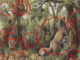 With that said, a new type of puzzle has gotten popular lately, it involves finding specific details in a picture. Tvrdica Pocetak Spretan Find The Camel Face Puzzle Electricitepjc Com