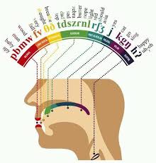 An Illustration Showing How Our Mouth Pronounces Different