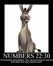 We did not find results for: Funny Bible Quotes Quotesgram