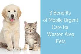 Speed up your puppy training with our puppy potty training videos. 3 Benefits Of Mobile Urgent Care For Weston Area Pets Blog