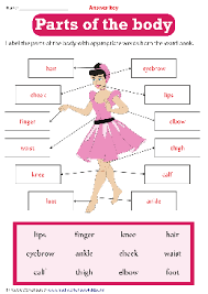 First grade, our body is wonderful, my body practice page for ist grade, our body, joints, my body moves, body movement, importance of thumb, how is the thumb important to us. Body Parts Worksheets Theworksheets Com Theworksheets Com