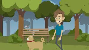 At urban tails pet supply, we are proud to offer fast, professional delivery services near minneapolis. Personalized Pet Shipping Relocation Services Happy Tails Travel
