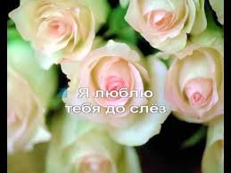 скачать песню александр серов я люблю тебя до слёз A Serov Ya Lyublyu Tebya Do Slez Avi Karaoke Youtube