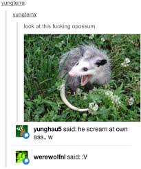 Image 791455 Tumblr Know Your Meme