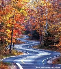 Check spelling or type a new query. 3 Scenic Door County Fall Color Drives Travel Wisconsin Fall Foliage Road Trips Wisconsin Travel Door County Wisconsin
